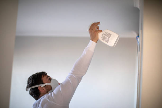 Best Certified Mold Removal  in Foothill Farms, CA